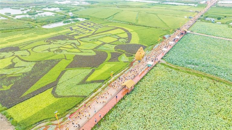 与范本, 落的特色赛, 道设计别出 与范本, 落的特色赛, 道设计别出