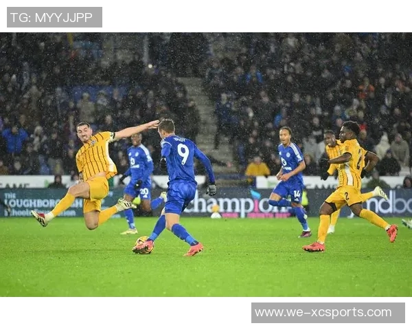 什鲁斯伯里主场迎战特兰米尔流浪者期待精彩对决与胜利之路